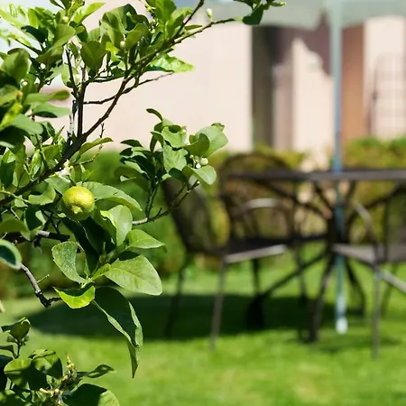 Il Borghetto Apartmán *